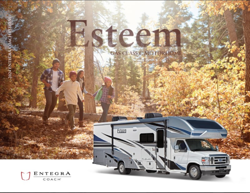 ESTEEM